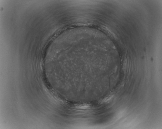 X0000067400643200604281909