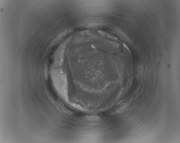 X0000067400644200604281909