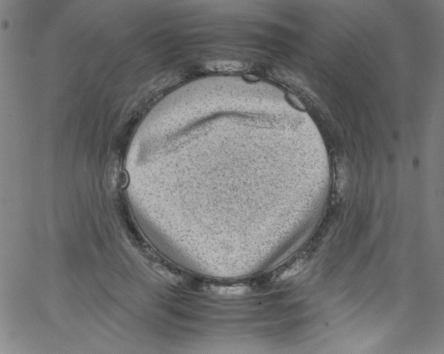 X0000067400645200604281909