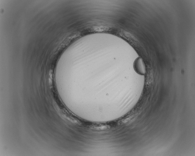 X0000067400646200604281909