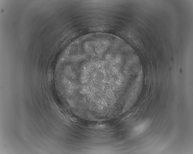 X0000067400647200604281909