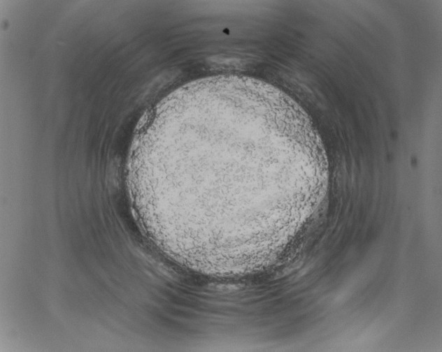 X0000067400649200604281909