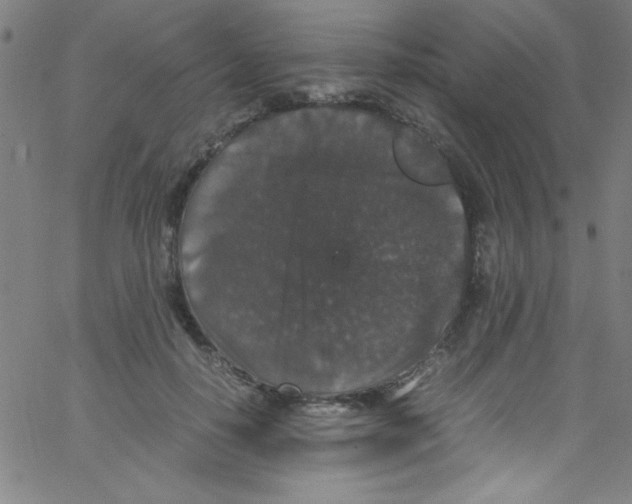 X0000067400650200604281909