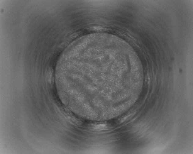 X0000067400651200604281909