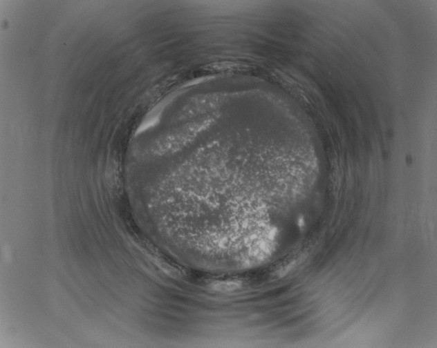 X0000067400653200604281909