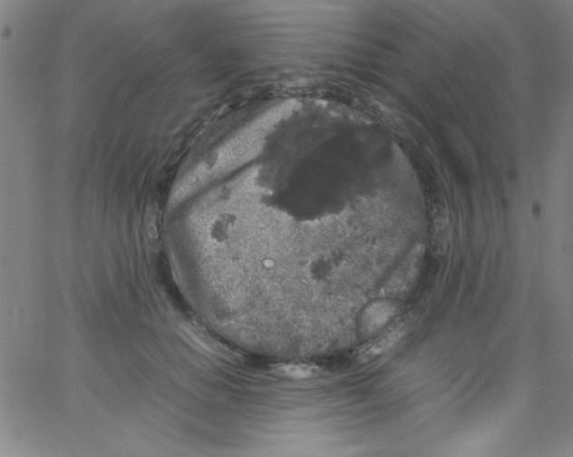 X0000067400654200604281909