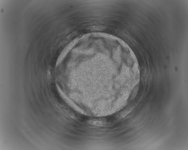 X0000067400655200604281909