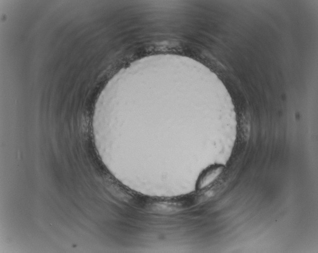 X0000067400657200604281909