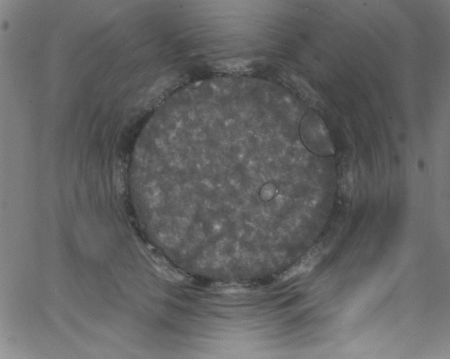 X0000067400658200604281909