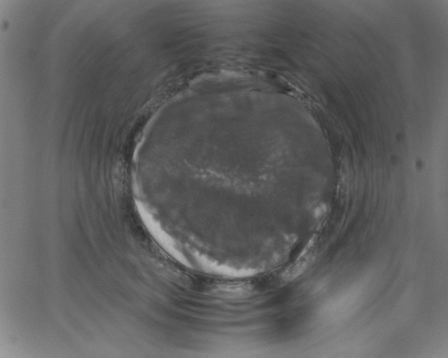 X0000067400659200604281909