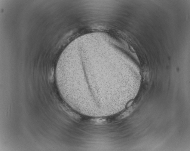 X0000067400660200604281909