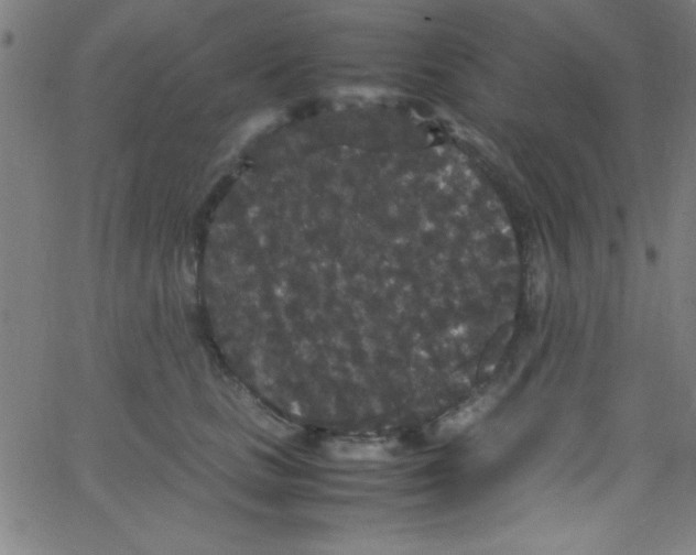 X0000067400661200604281909