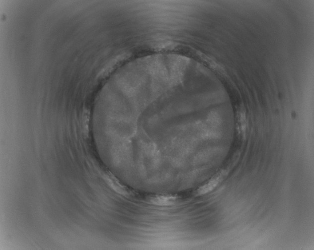 X0000067400664200604281909