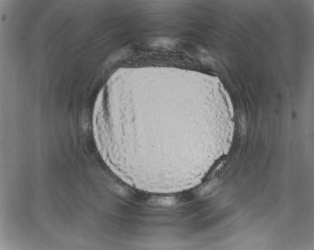 X0000067400665200604281909