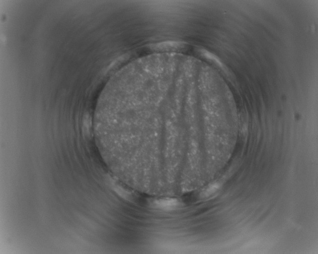 X0000067400669200604281909