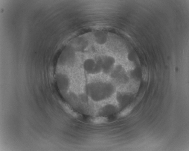 X0000067400670200604281909