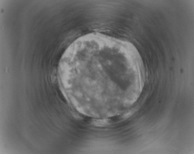 X0000067400671200604281909