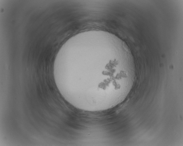 X0000067400672200604281909