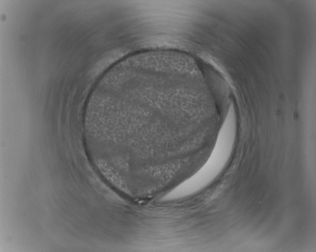 X0000067400673200604281908