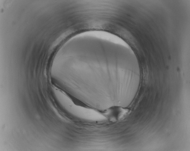 X0000067400674200604281908