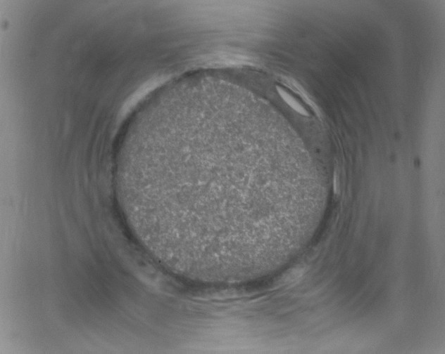 X0000067400675200604281908