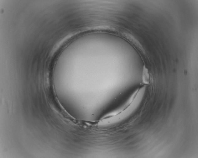 X0000067400676200604281908