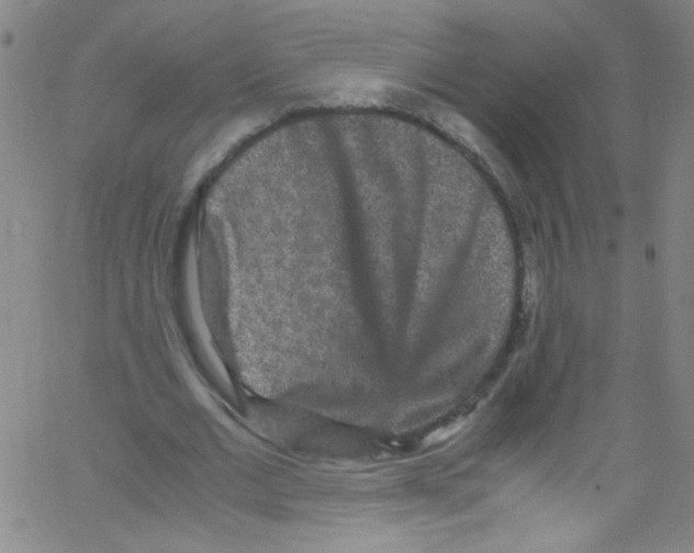 X0000067400677200604281908