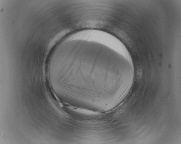 X0000067400678200604281908