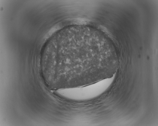 X0000067400679200604281908