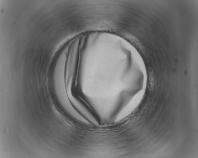 X0000067400680200604281908