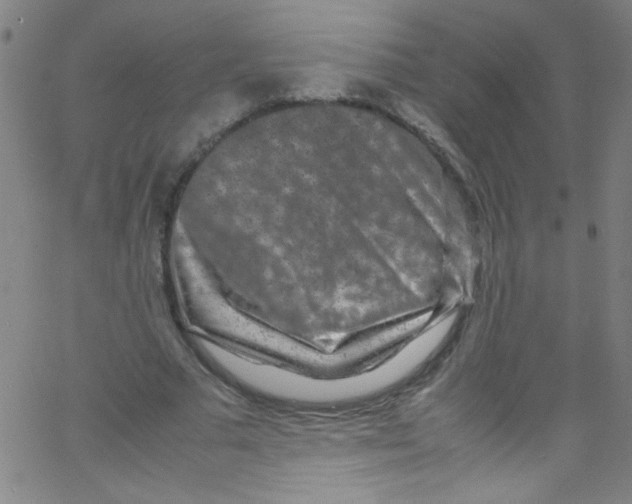 X0000067400681200604281908