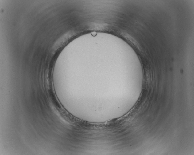 X0000067400682200604281908