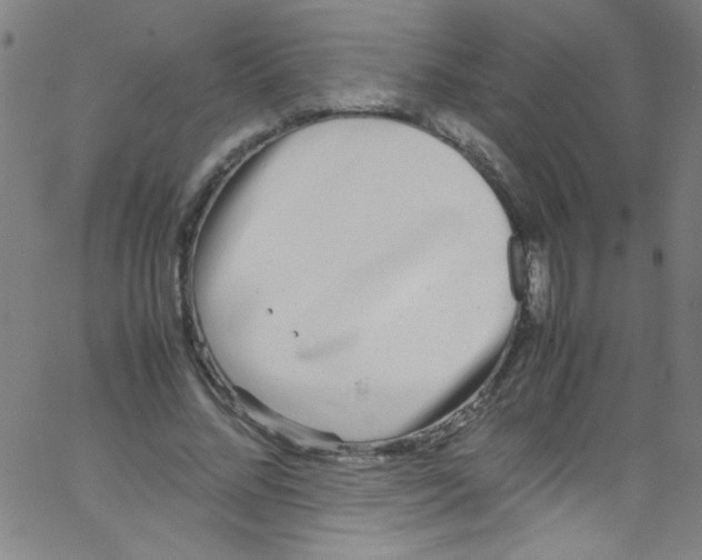 X0000067400684200604281908