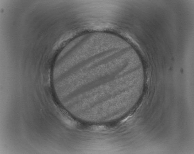 X0000067400685200604281908