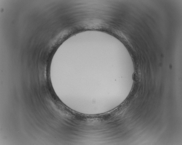 X0000067400686200604281908