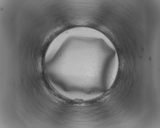 X0000067400688200604281908