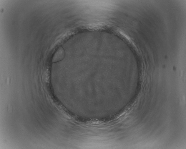 X0000067400689200604281908