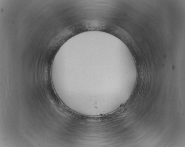 X0000067400690200604281908