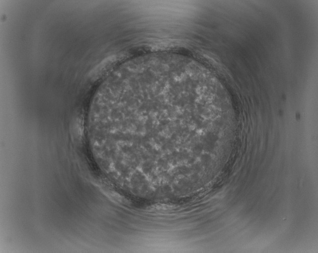 X0000067400691200604281908