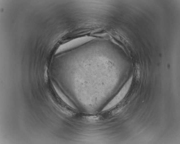 X0000067400692200604281908