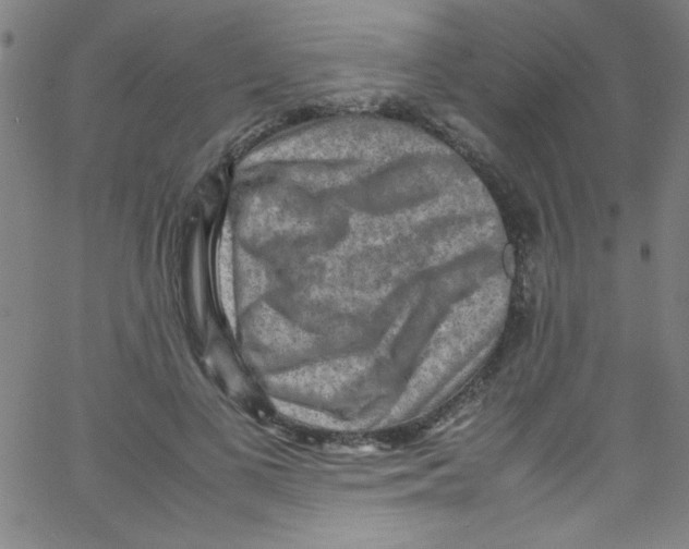 X0000067400693200604281908