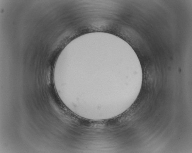 X0000067400694200604281908