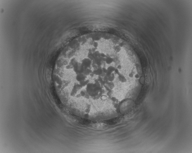 X0000067400695200604281908