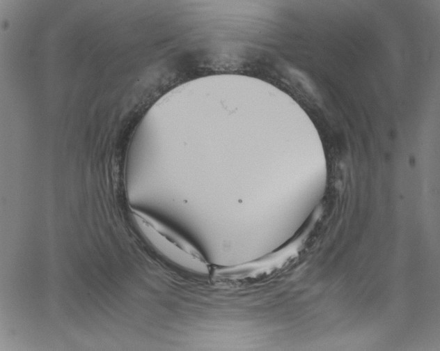 X0000067400697200604281908