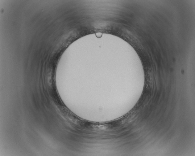 X0000067400698200604281908