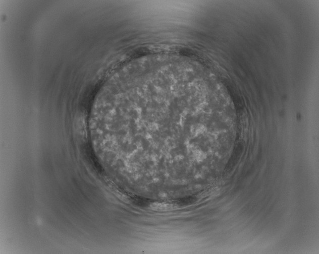 X0000067400699200604281908