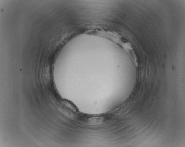 X0000067400700200604281908