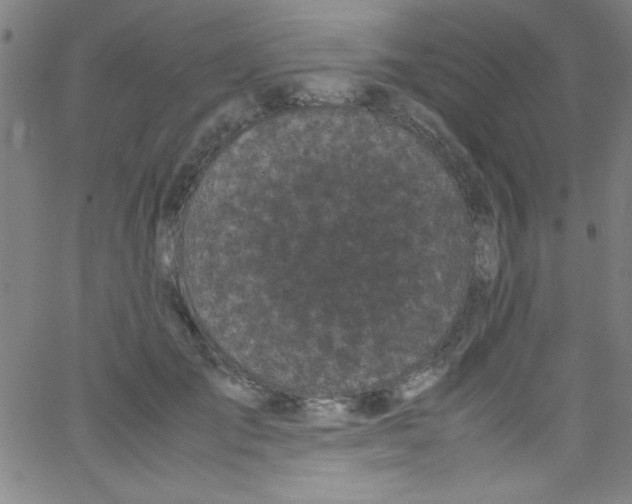 X0000067400701200604281908