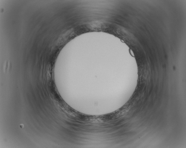 X0000067400702200604281908