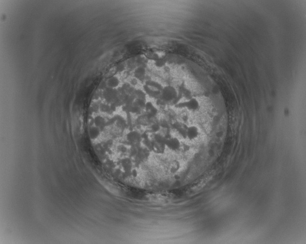 X0000067400703200604281908